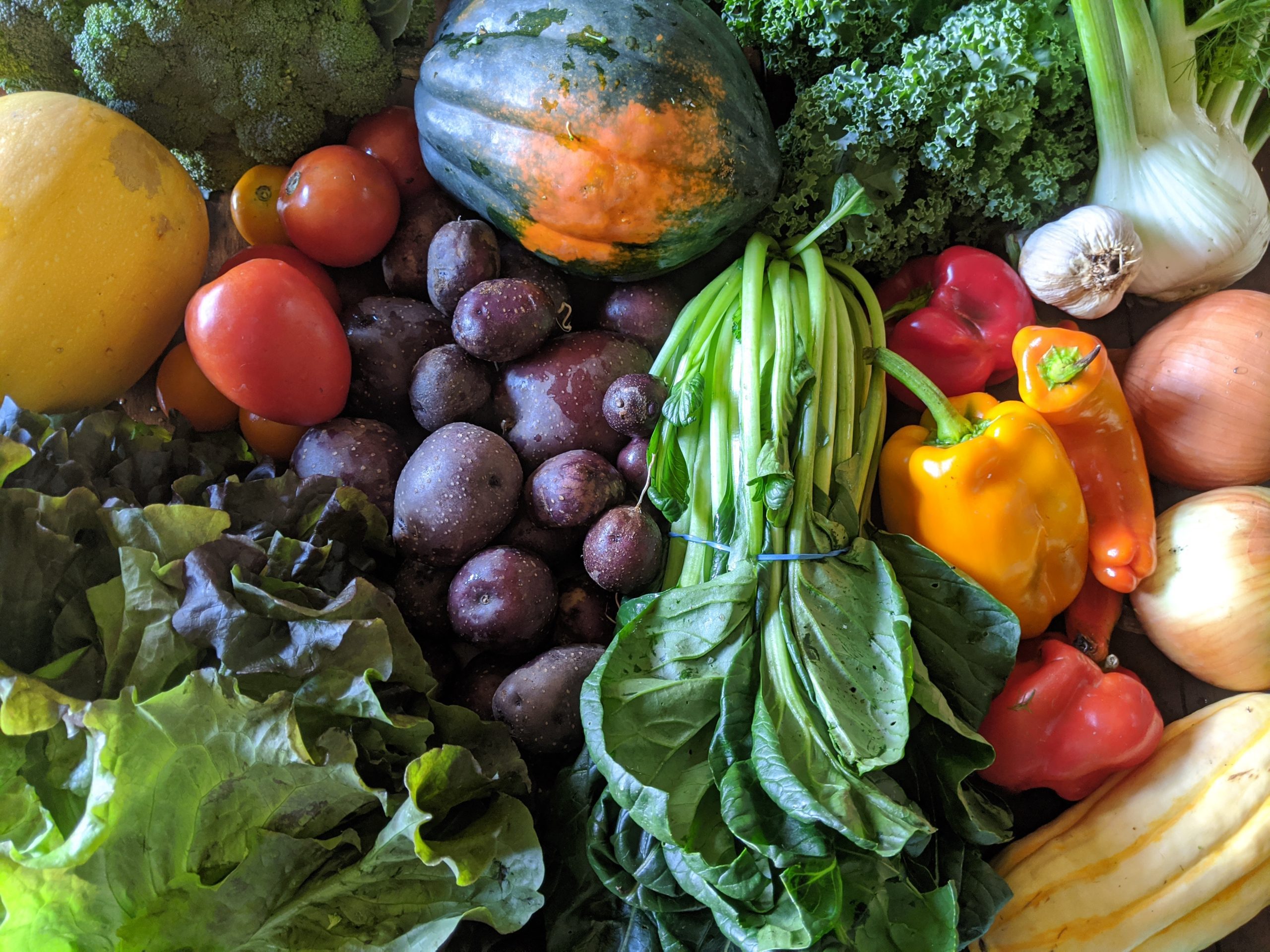 Weekly Meal Plan 9.30.20