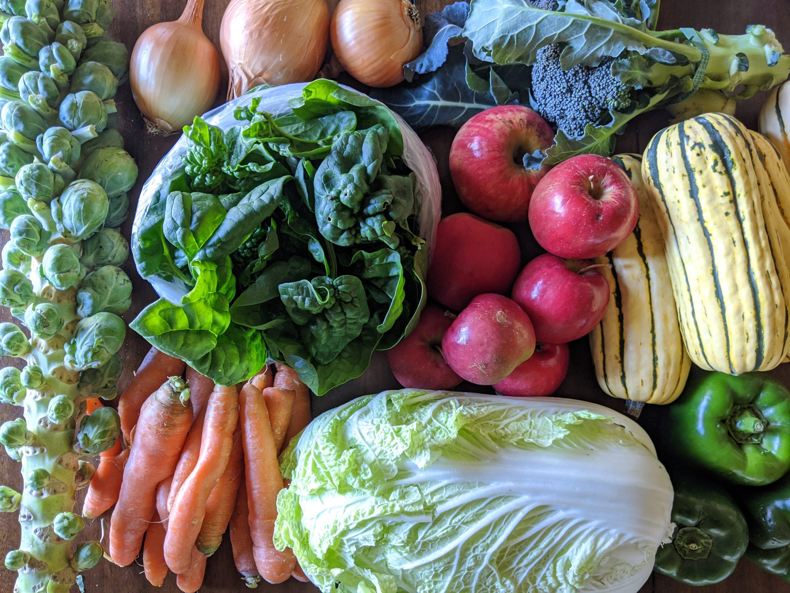 Weekly Meal Plan 10.28.20