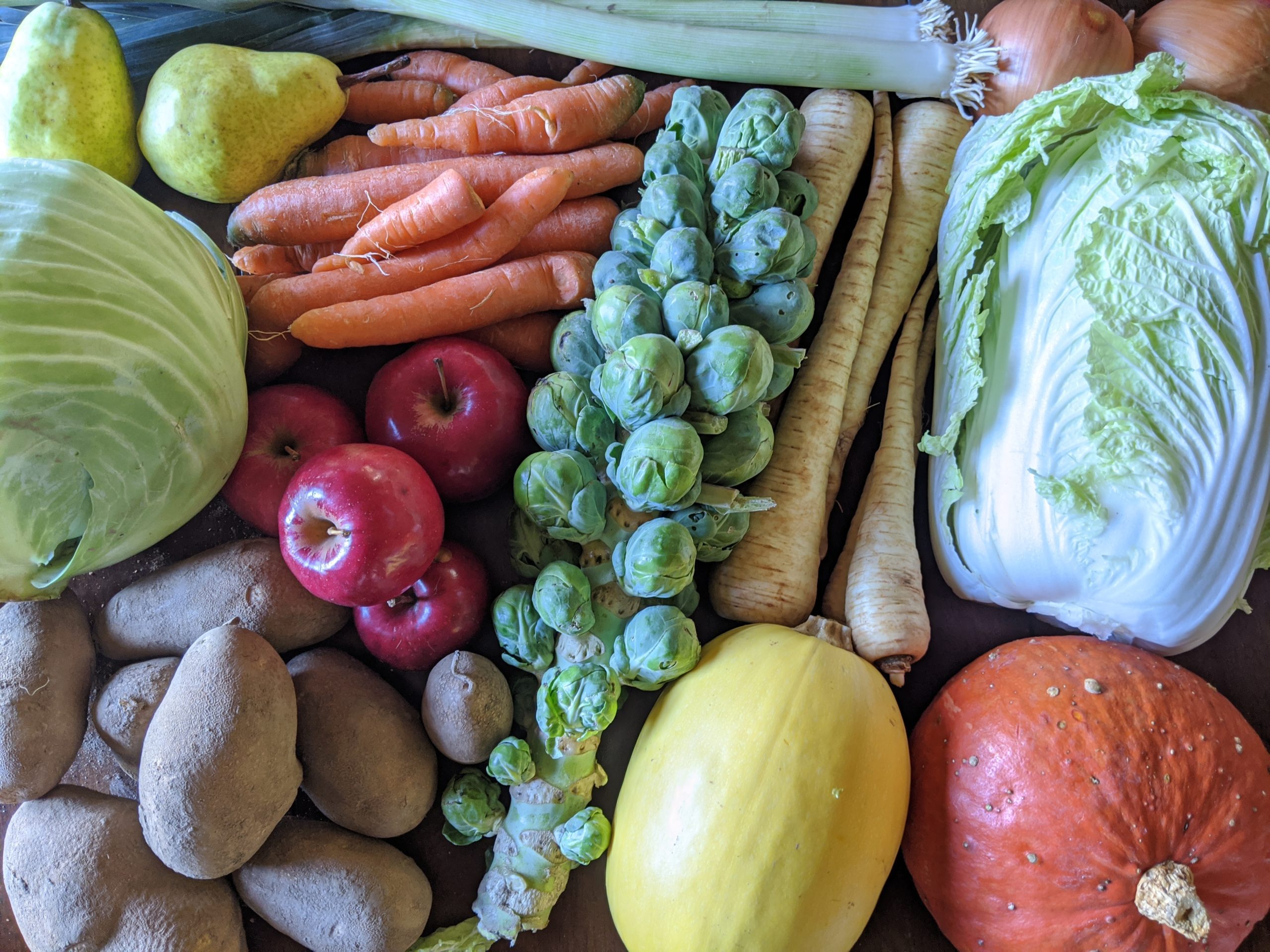 Weekly Meal Plan 11.4.20