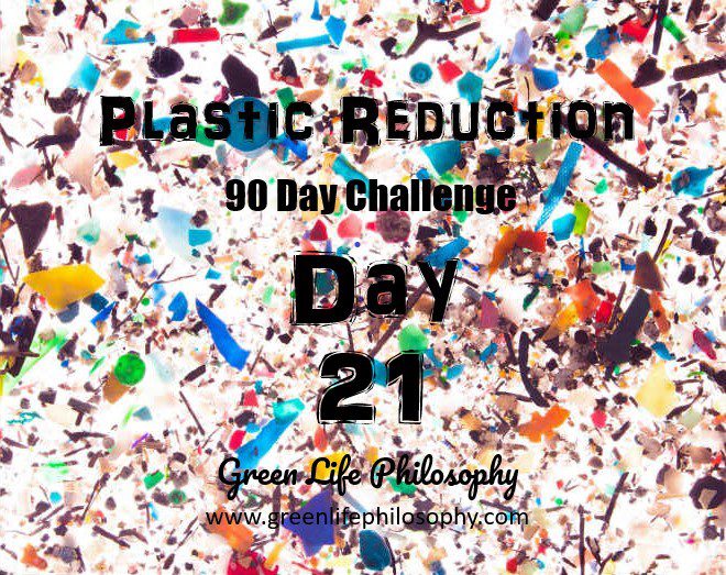 Plastic Reduction Challenge Day 21: Find a Compostable Sponge