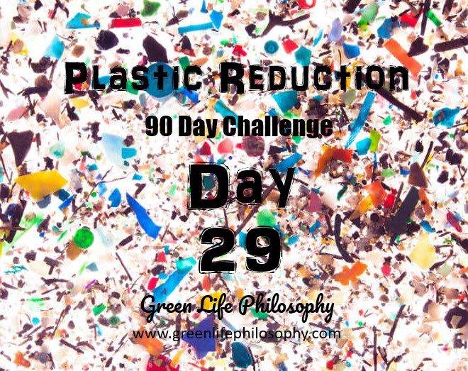 Plastic Reduction Challenge Day 29: Assemble a Shopping Kit