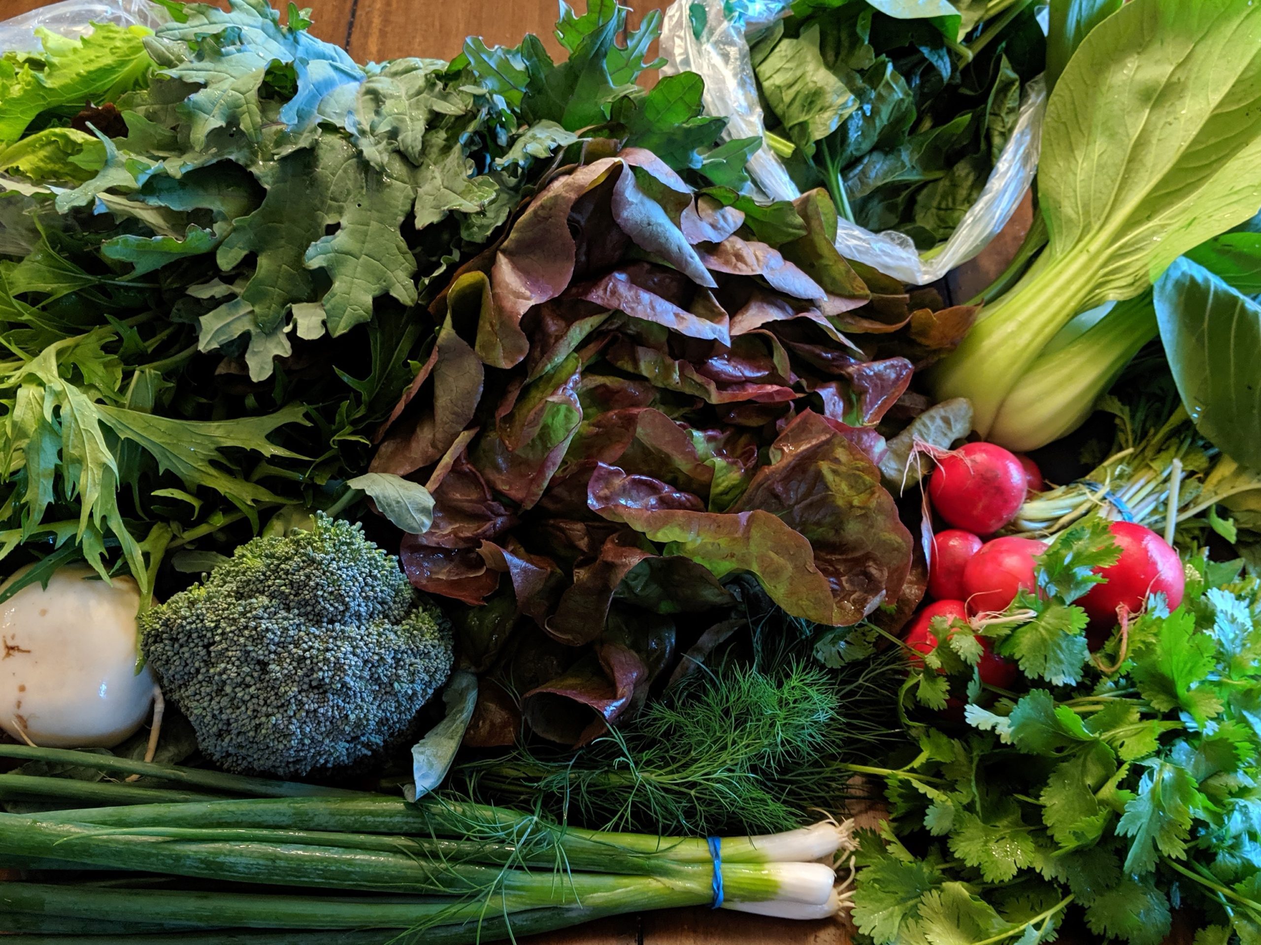 Weekly Meal Plan 5.13.20 – Vegetarian Edition