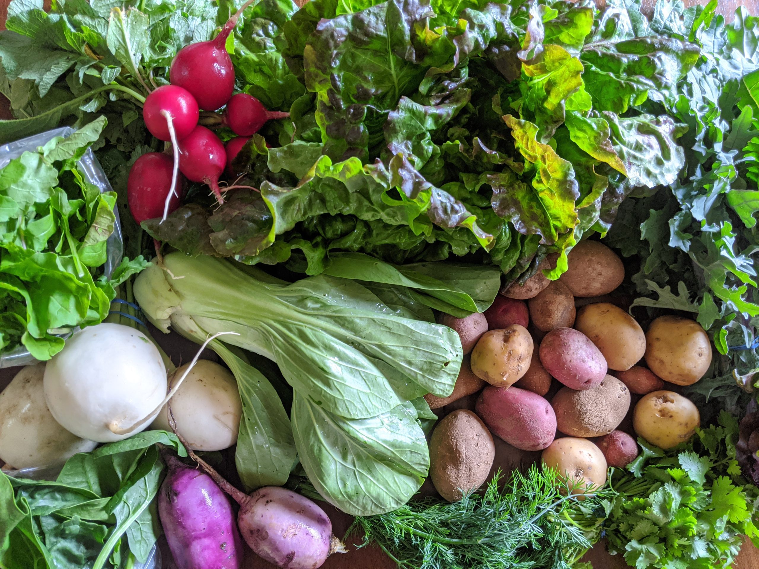 Weekly Meal Plan 6.10.20