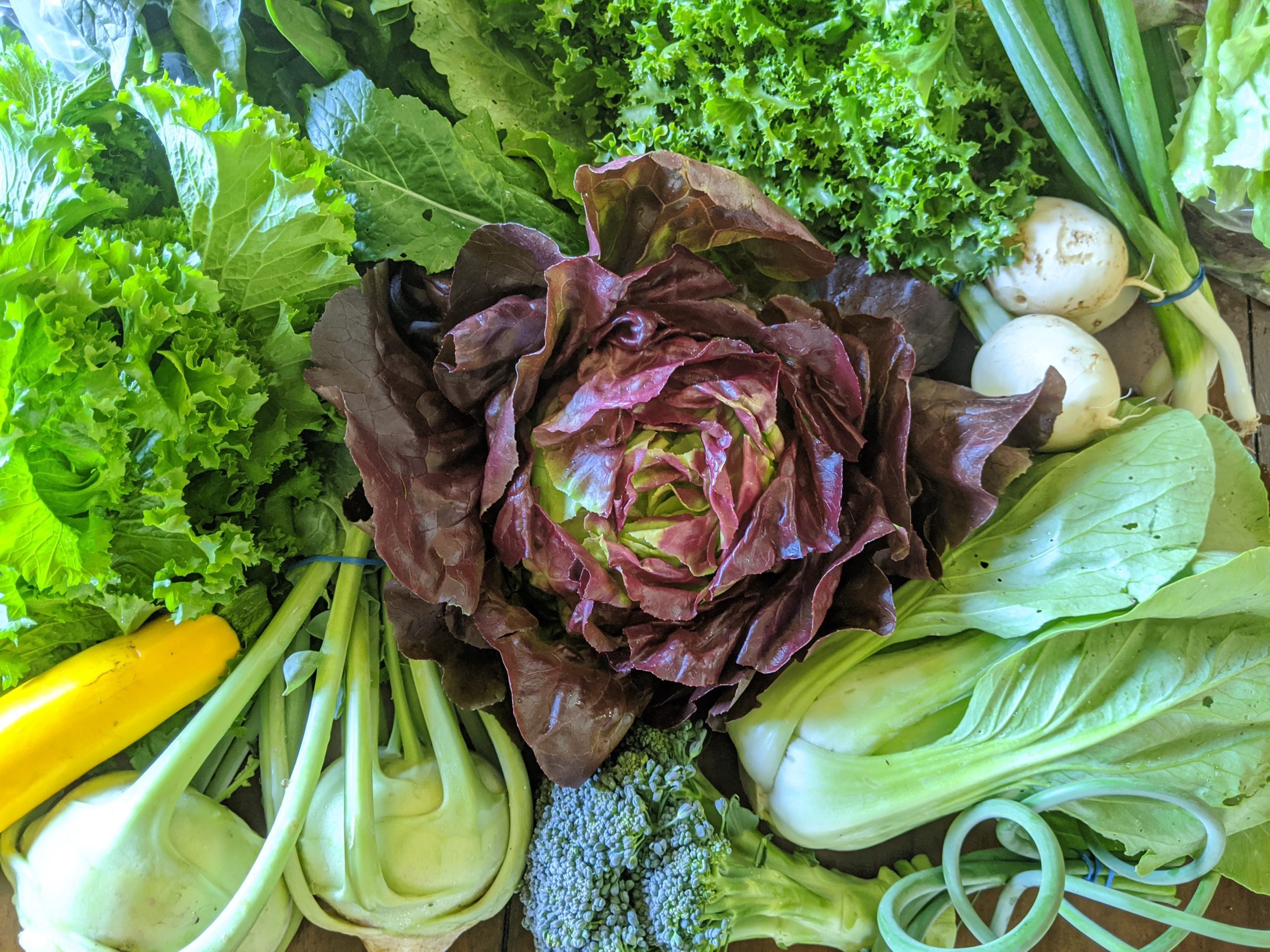 Weekly Meal Plan 6.17.20