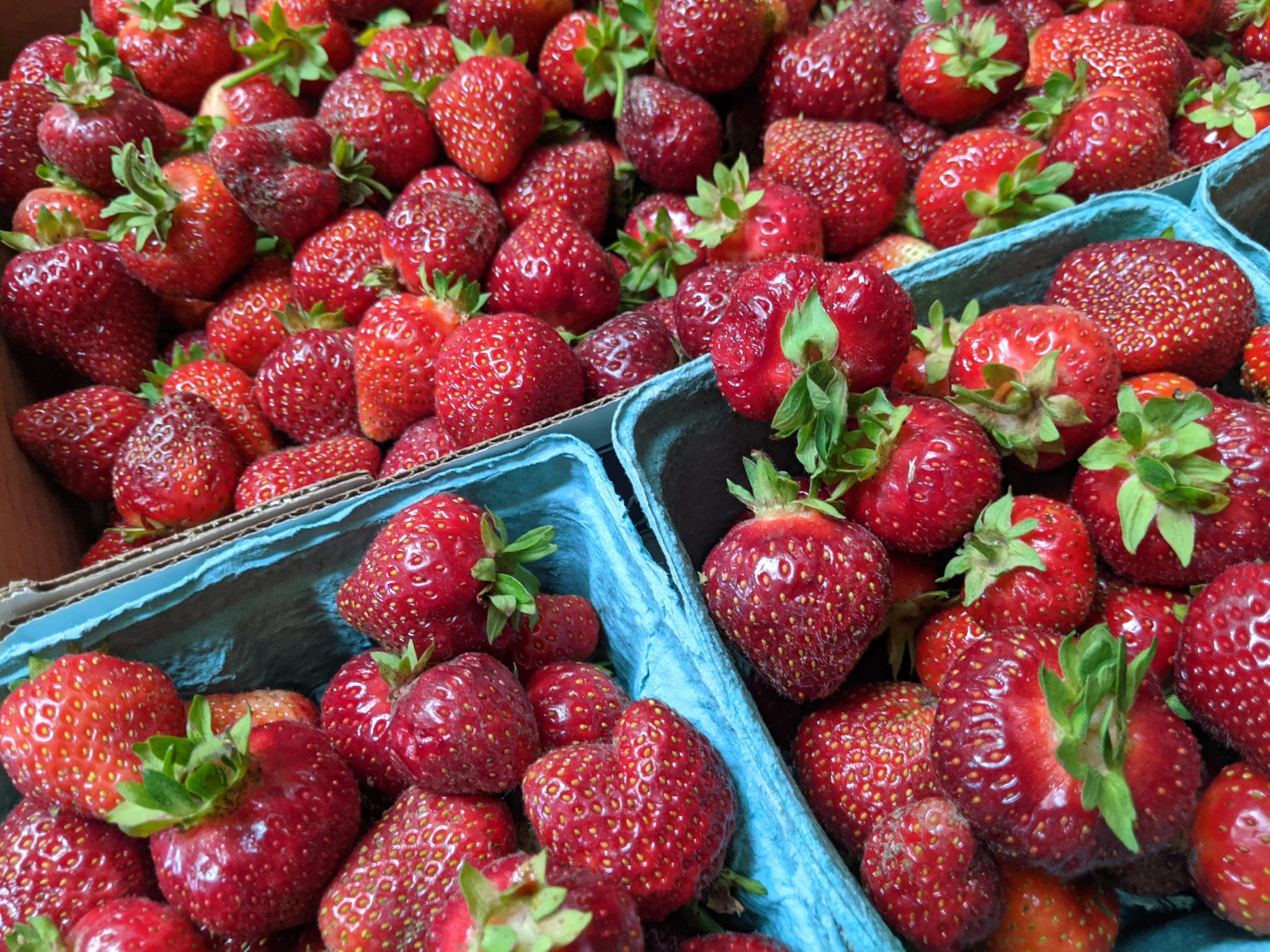 Strawberry Picking Season The Complete Guide (Updated 2020)