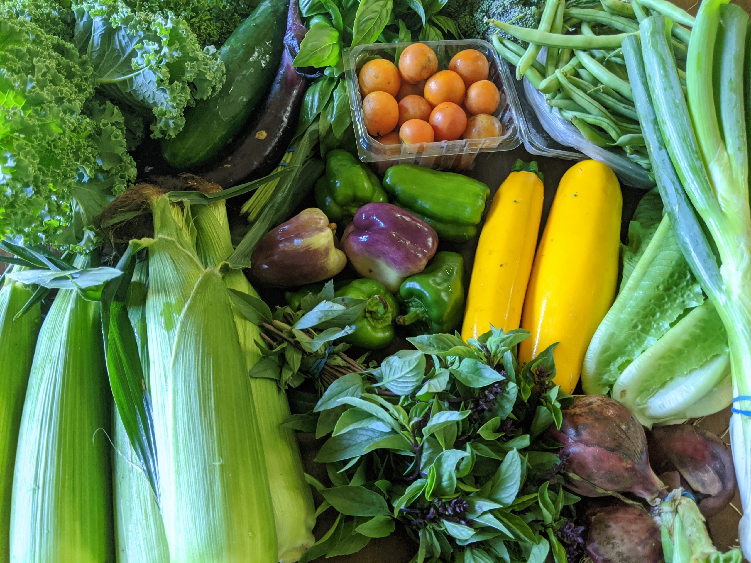 Weekly Meal Plan 7.22.20