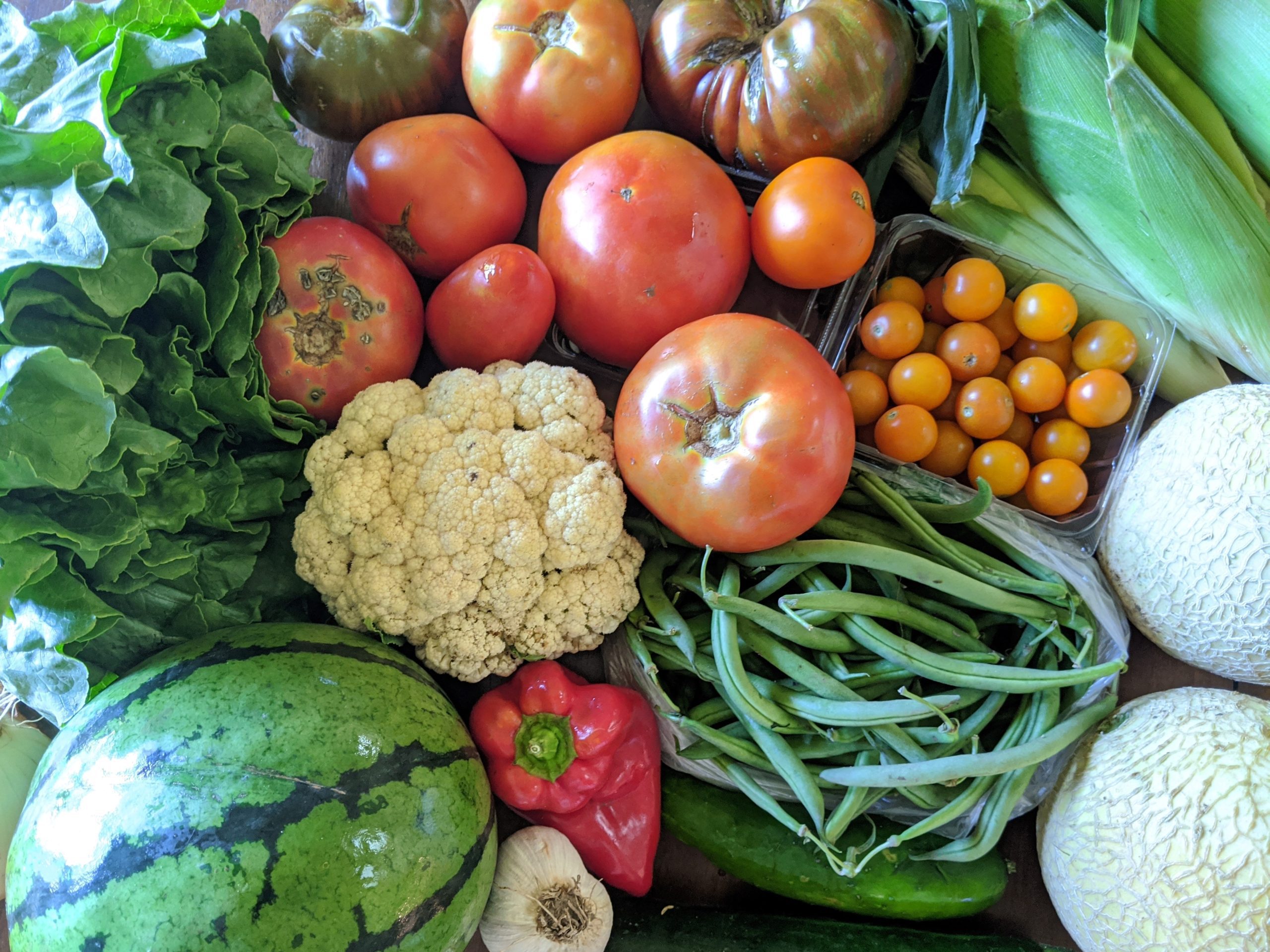 Weekly Meal Plan 8.19.20