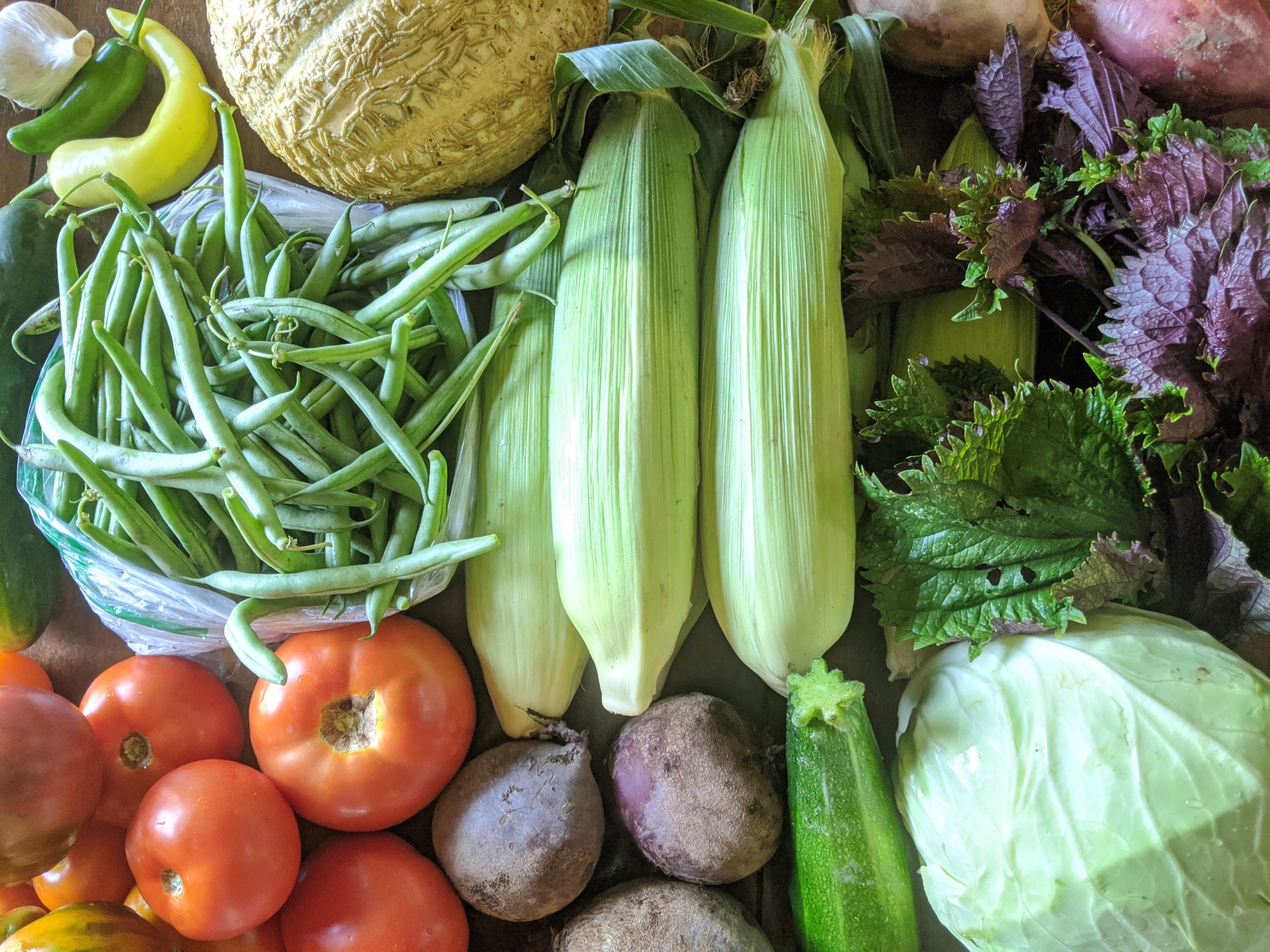 Weekly Meal Plan 8.26.20