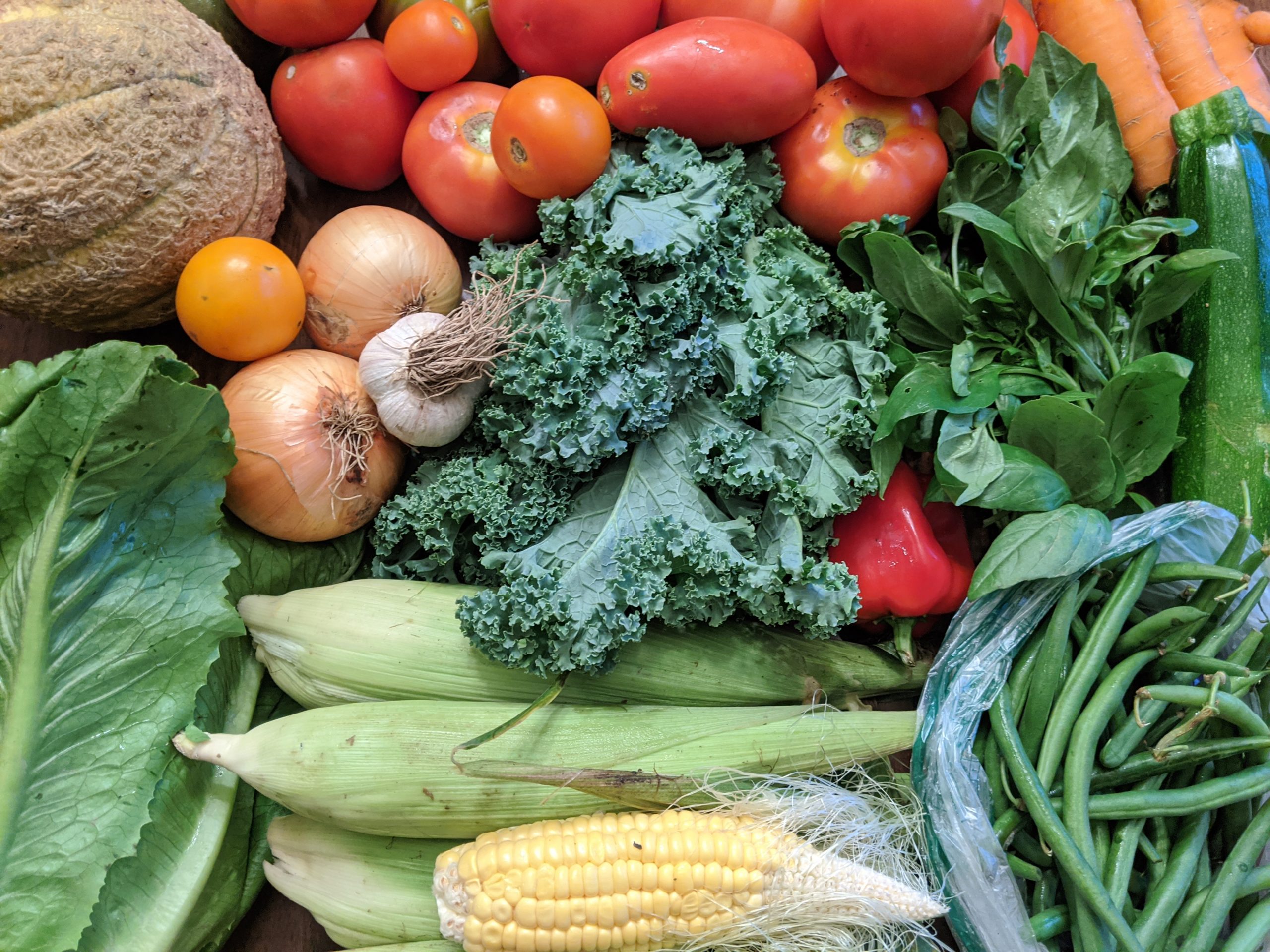 Weekly Meal Plan 9.2.20