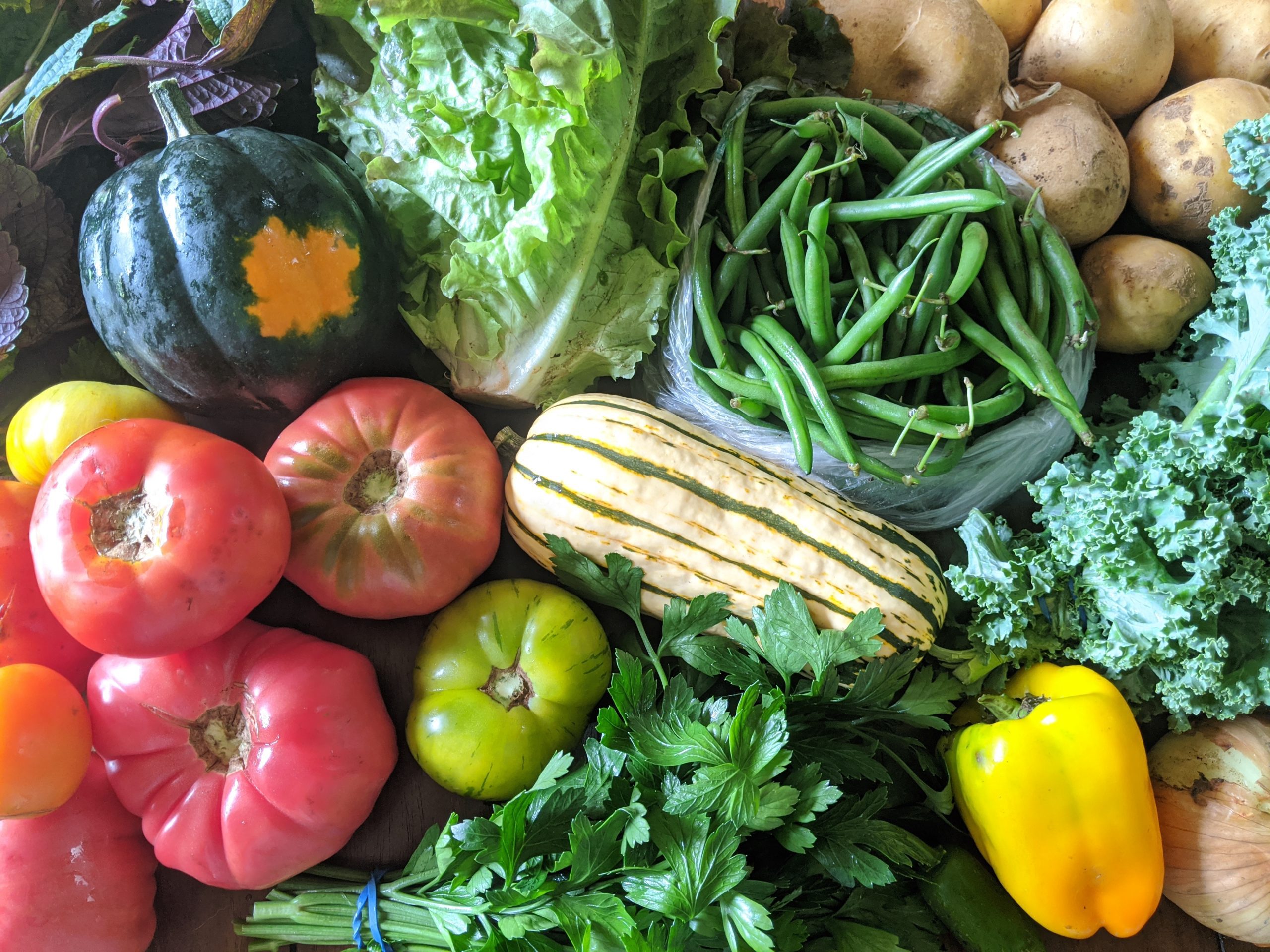 Weekly Meal Plan 9.16.20