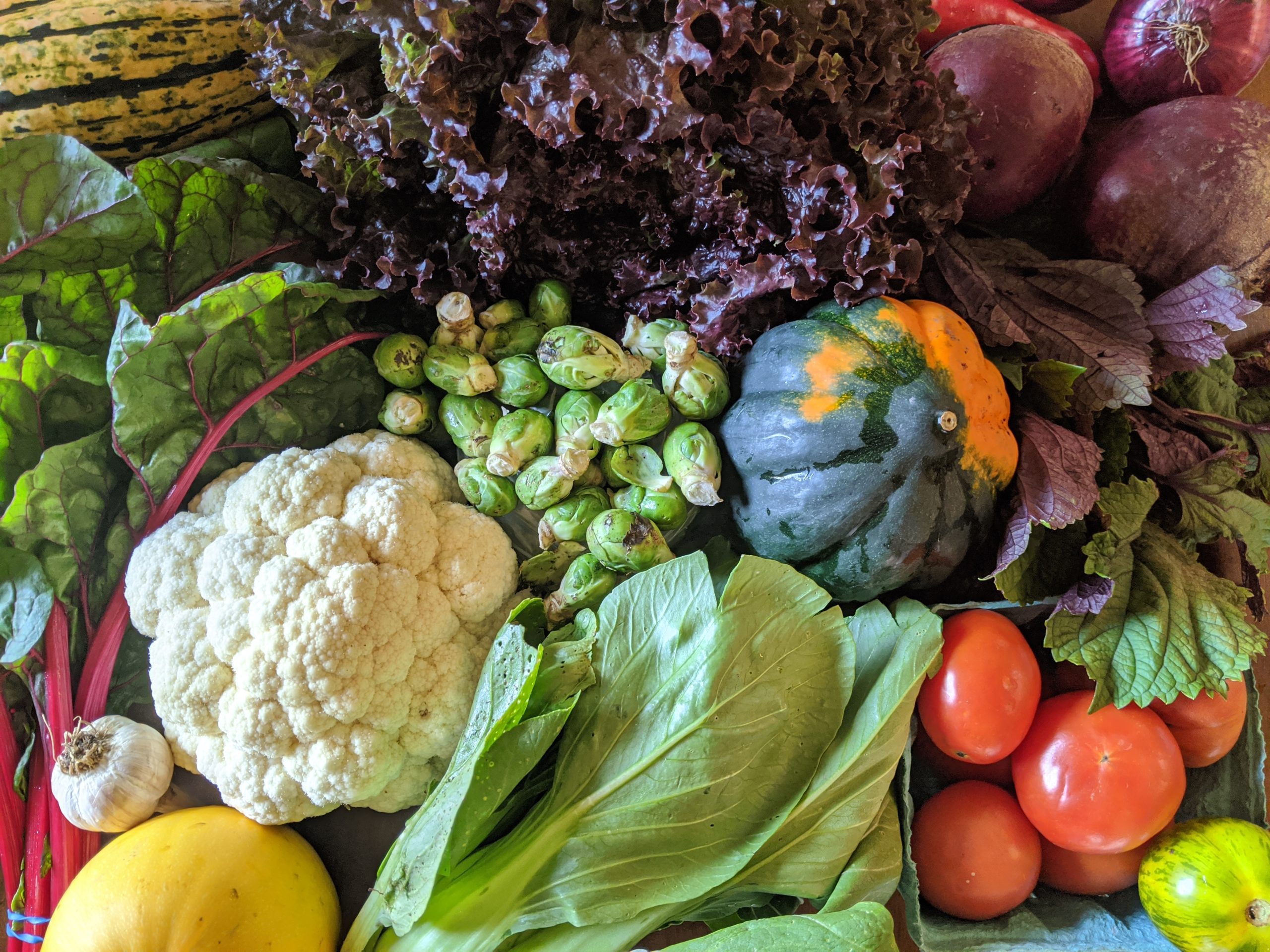 Weekly Meal Plan 9.23.20