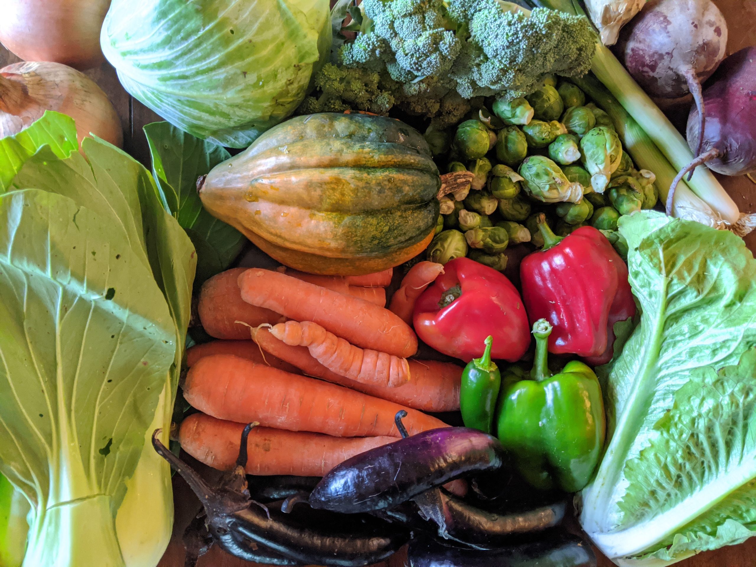 Weekly Meal Plan 10.7.20