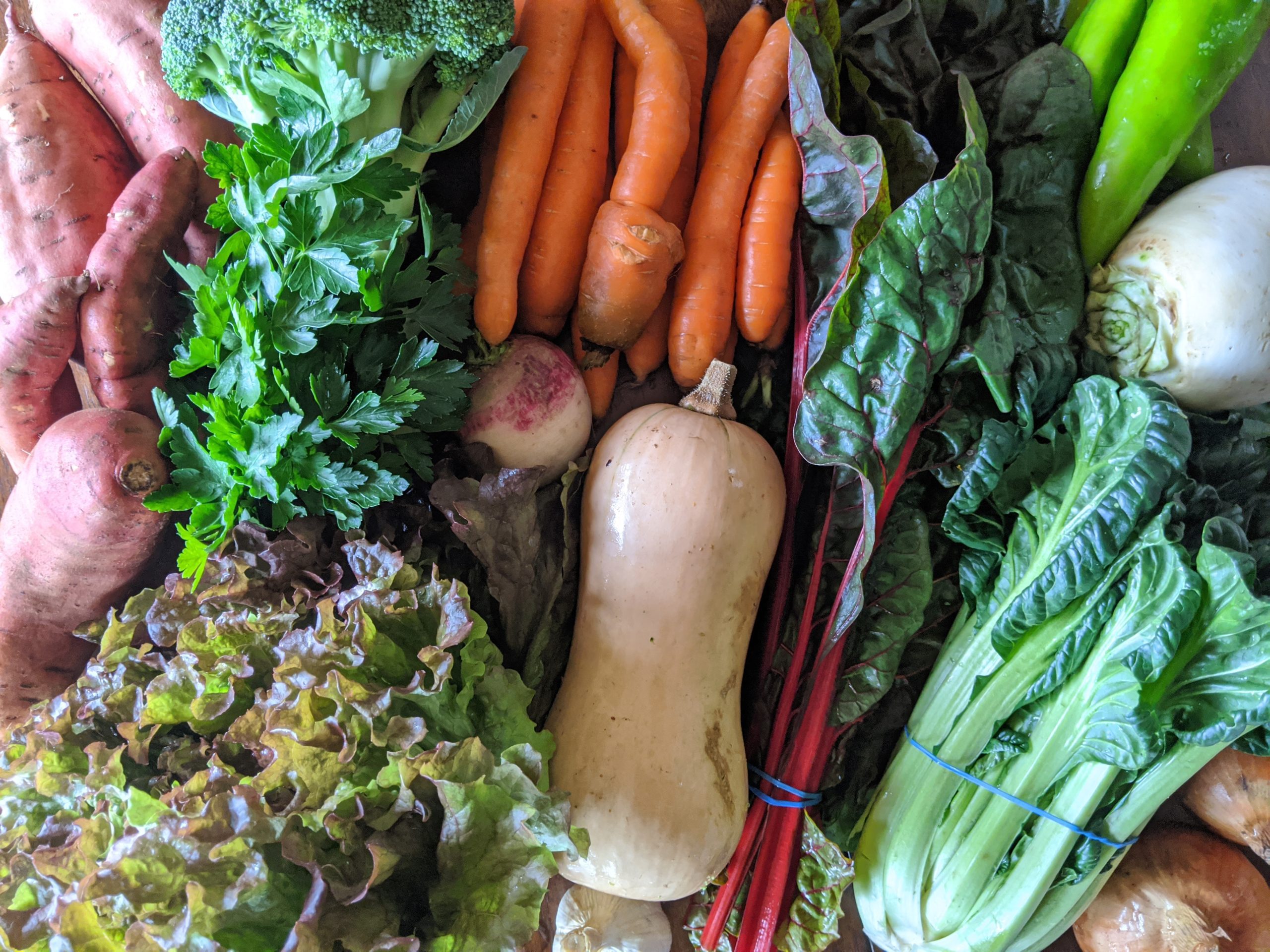 Weekly Meal Plan 10.14.20