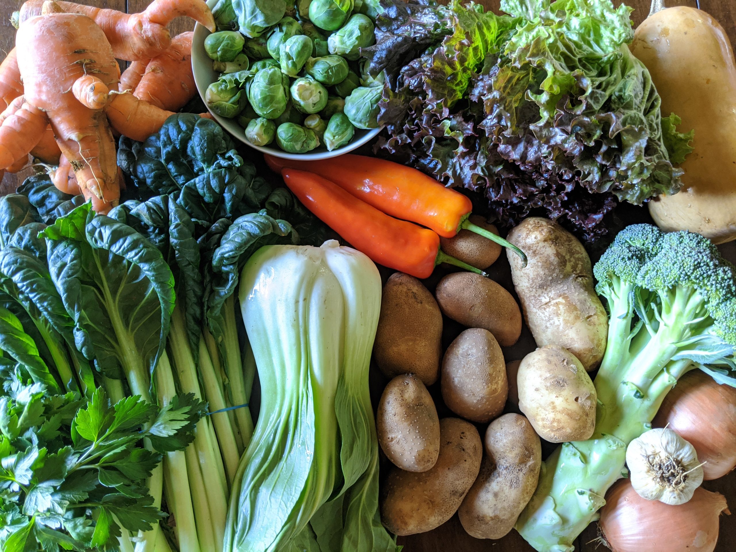 Weekly Meal Plan 10.21.20