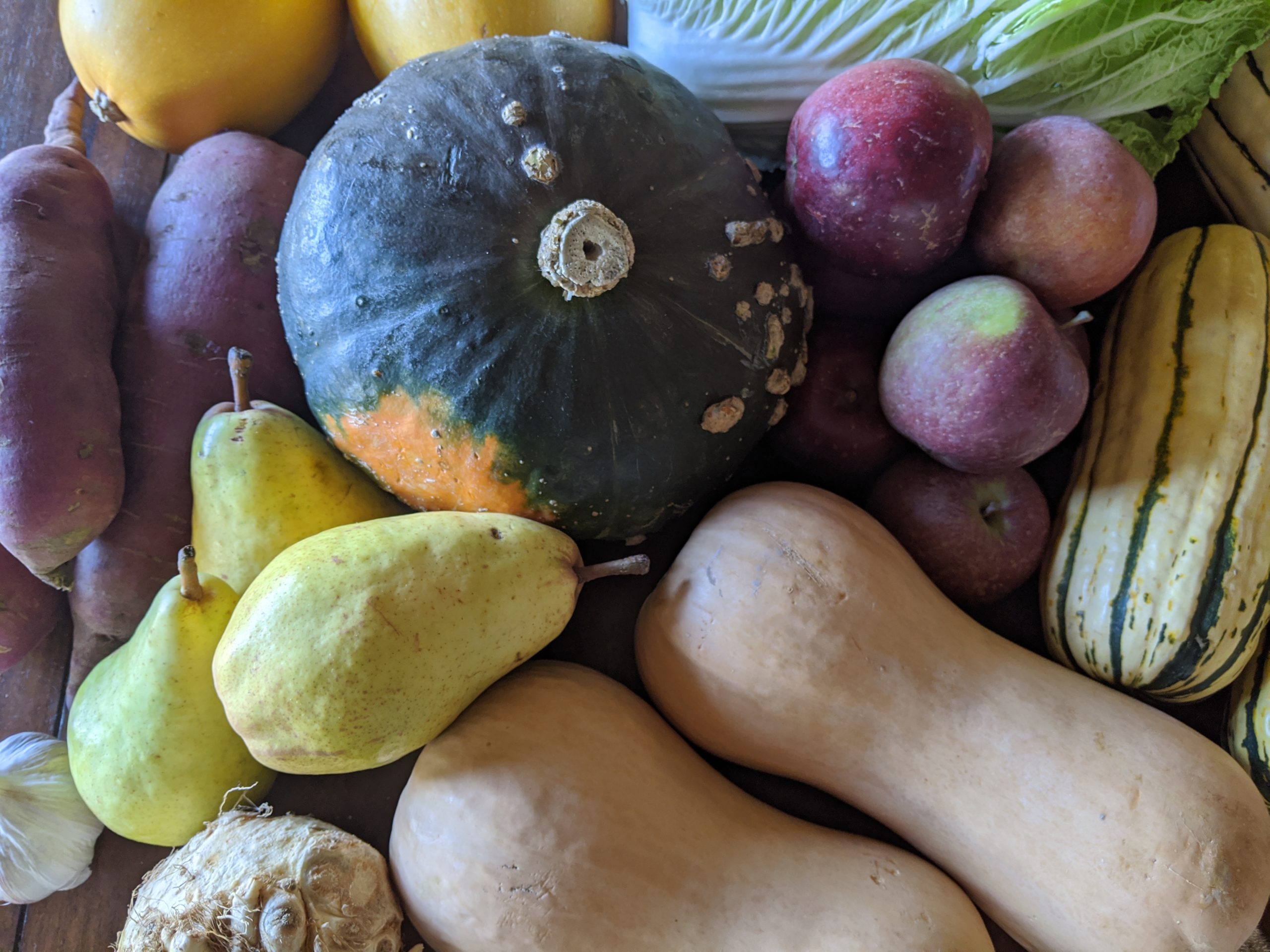 Weekly Meal Plan 11.11.20