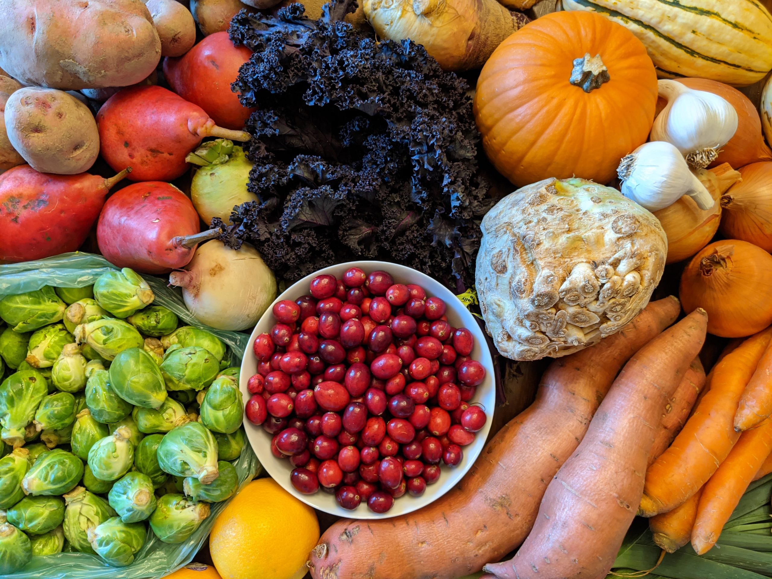 Weekly Meal Plan 11.25.20