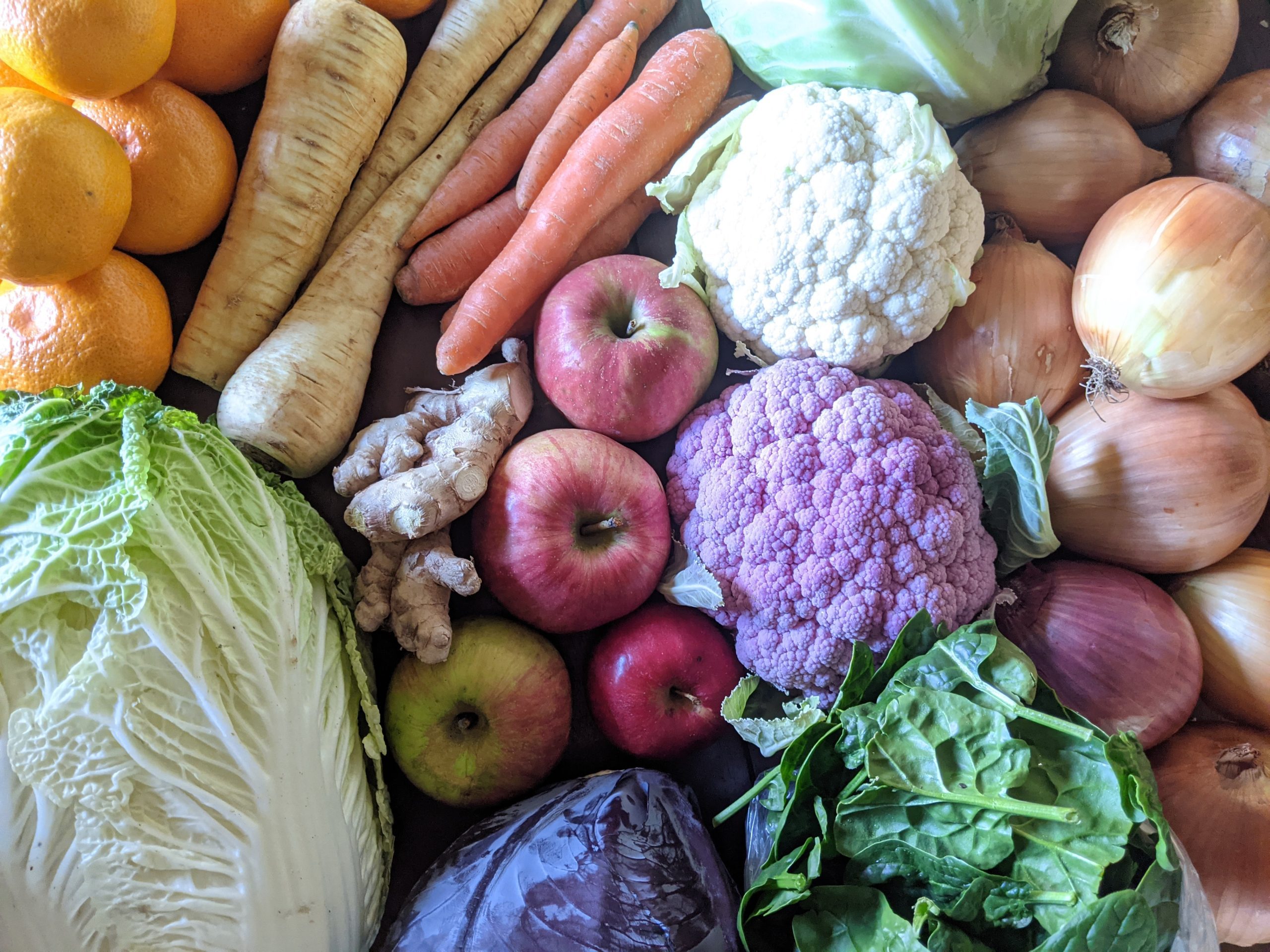 Weekly Meal Plan 12.2.20