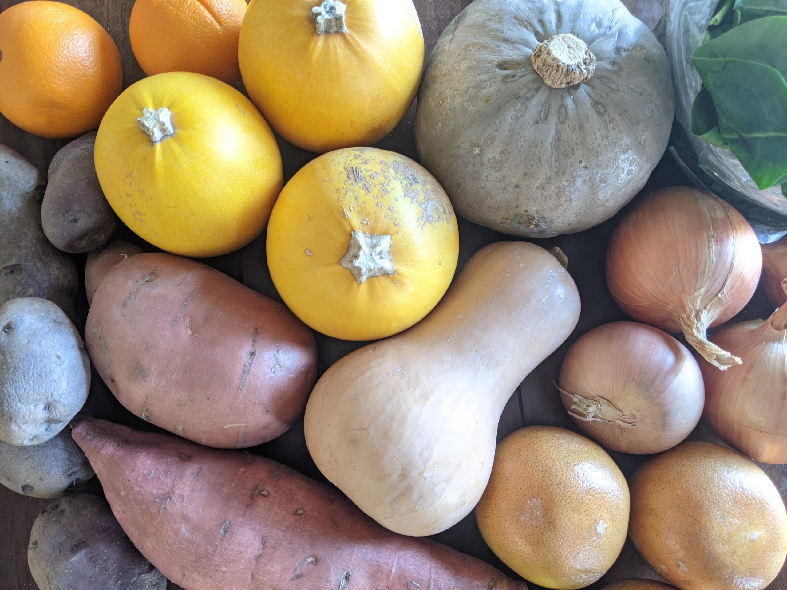 Weekly Meal Plan 2.3.21