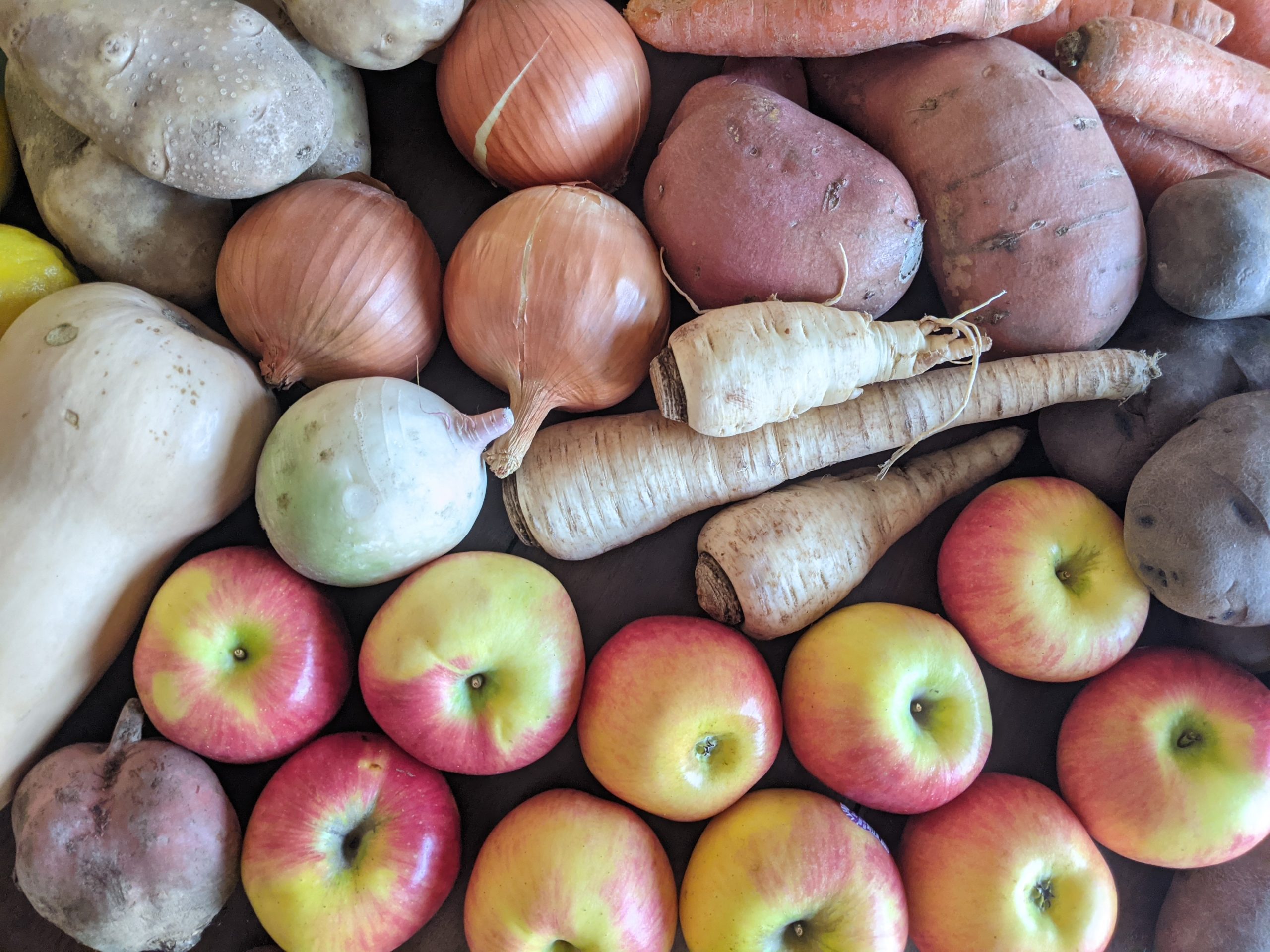 Weekly Meal Plan 2.10.21